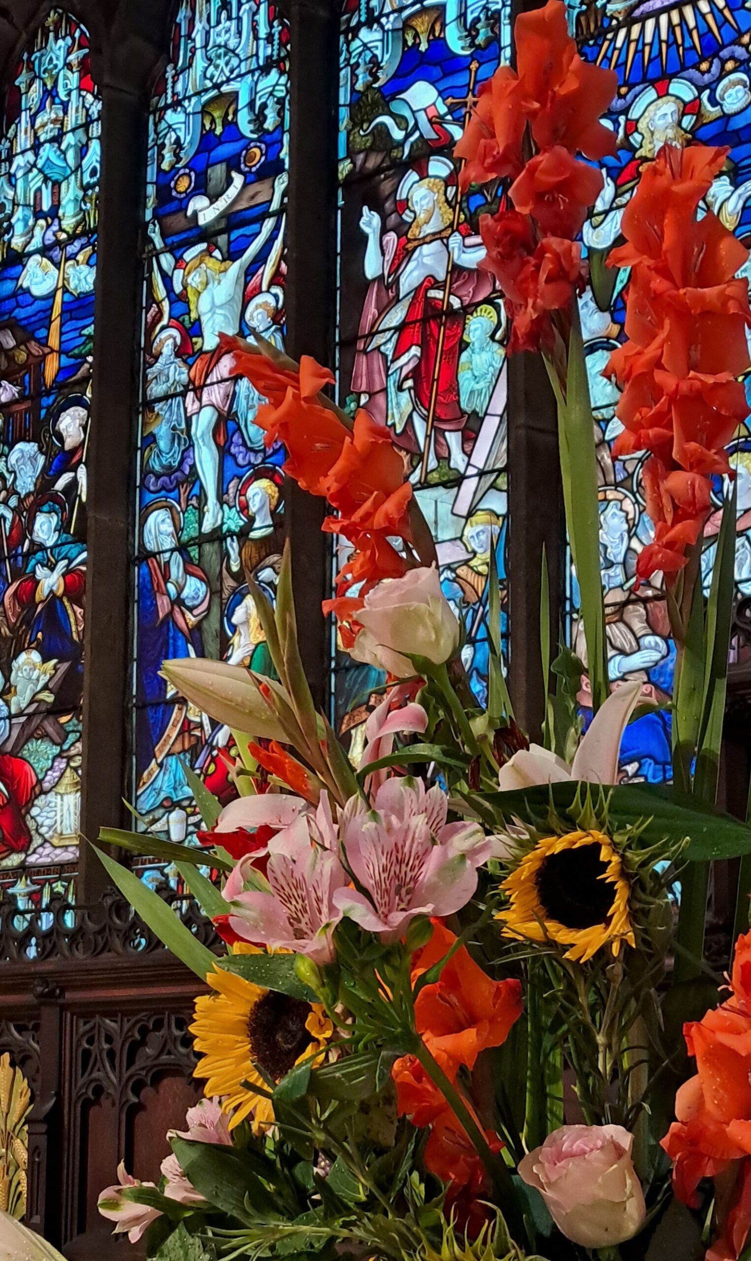 Gladioli