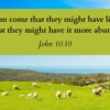 26th April 2026 10.30am – 4th Sunday of Easter – Eucharist